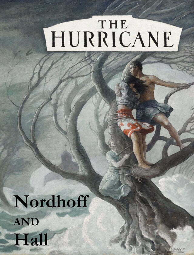 Couverture de livre pour The Hurricane