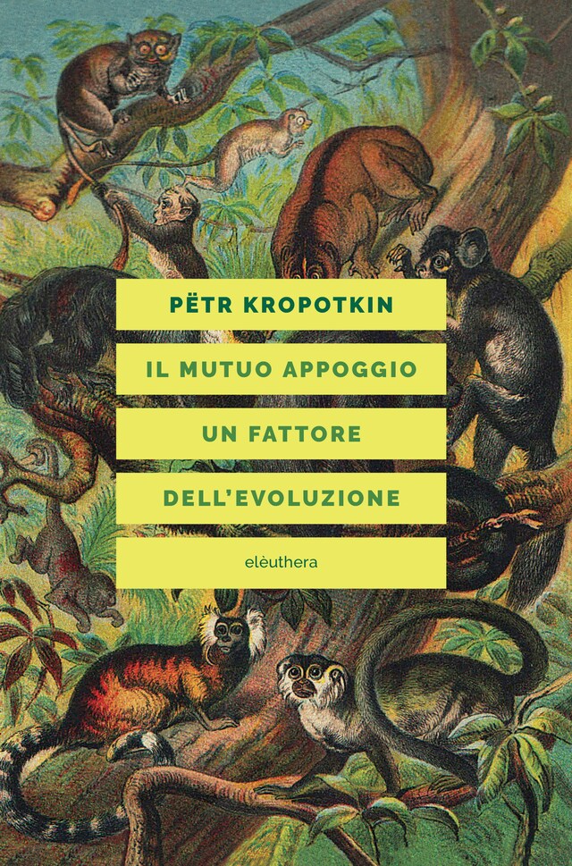 Kirjankansi teokselle IL MUTUO APPOGGIO UN FATTORE DELL'EVOLUZIONE