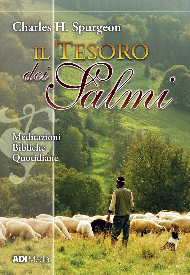 Book cover for Il Tesoro dei Salmi