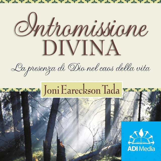 Boekomslag van Intromissione Divina