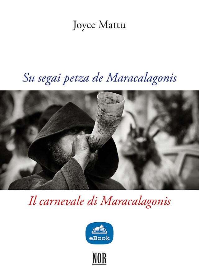 Copertina del libro per Su segai petza de Maracalagonis