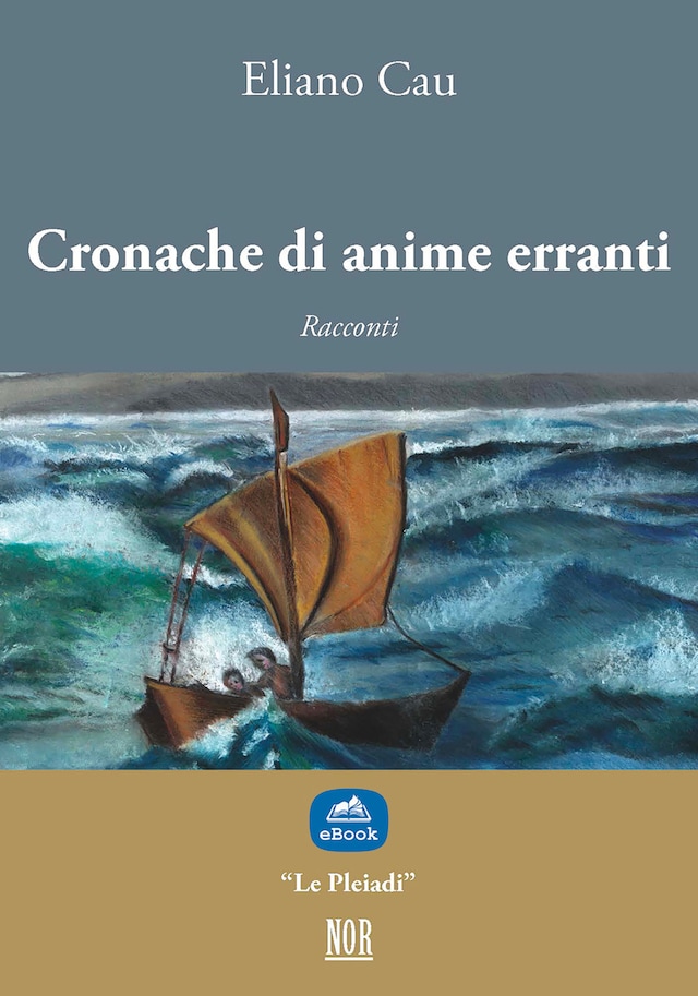 Book cover for Cronache di anime erranti