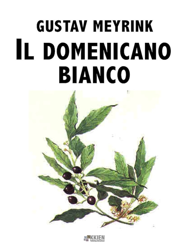 Buchcover für Il domenicano bianco