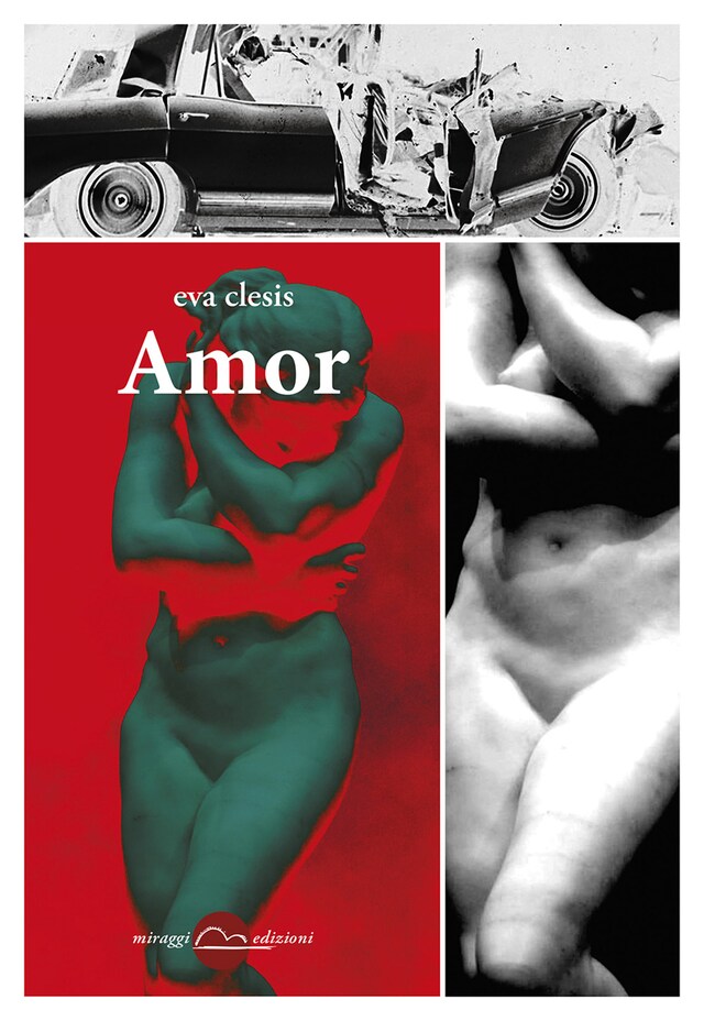 Book cover for Amor