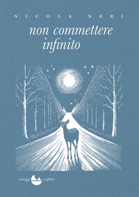 Non Commettere Infinito