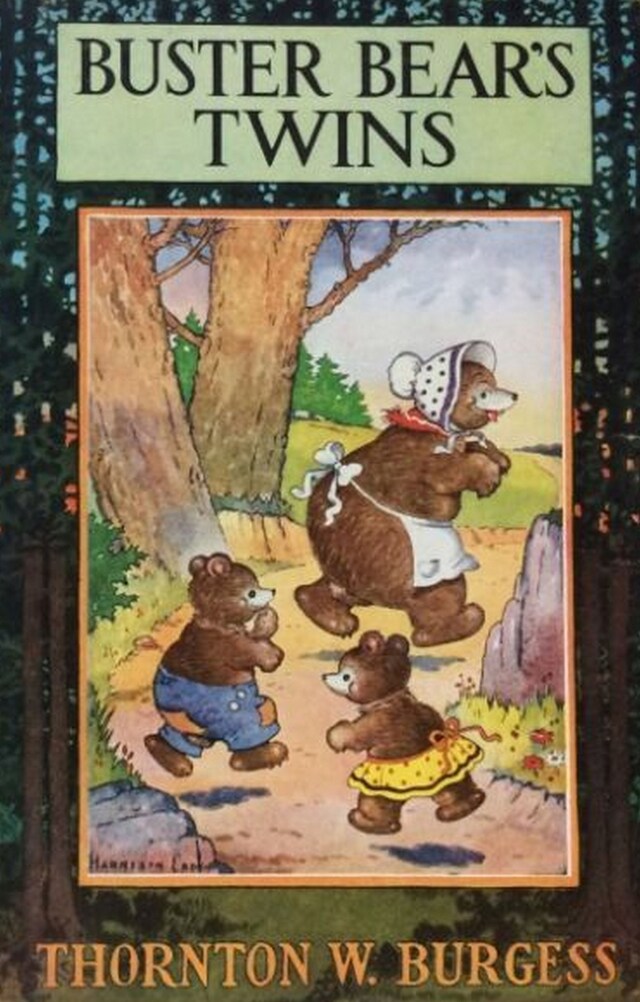 Buchcover für Buster Bear's Twins