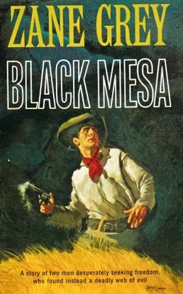 Buchcover für Black Mesa