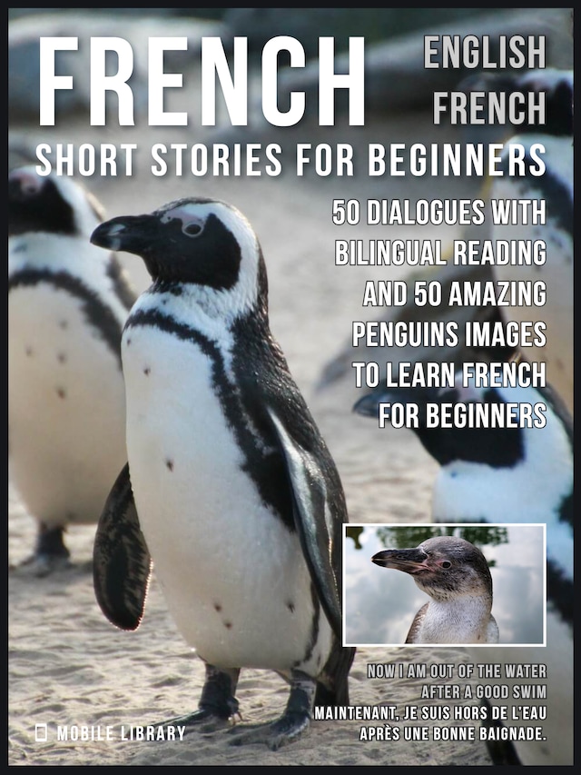 Book cover for French Short Stories for Beginners - English French