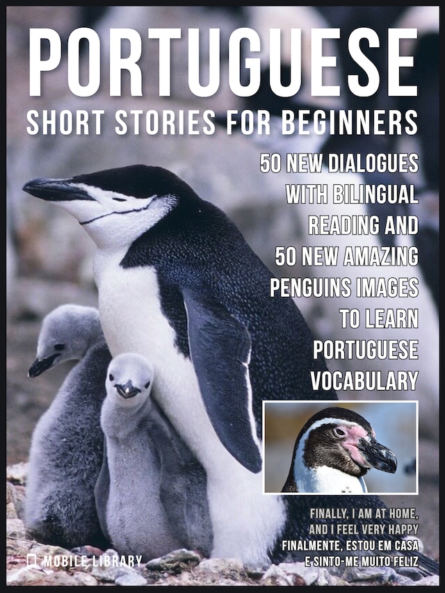 Book cover for Portuguese Short Stories For Beginners