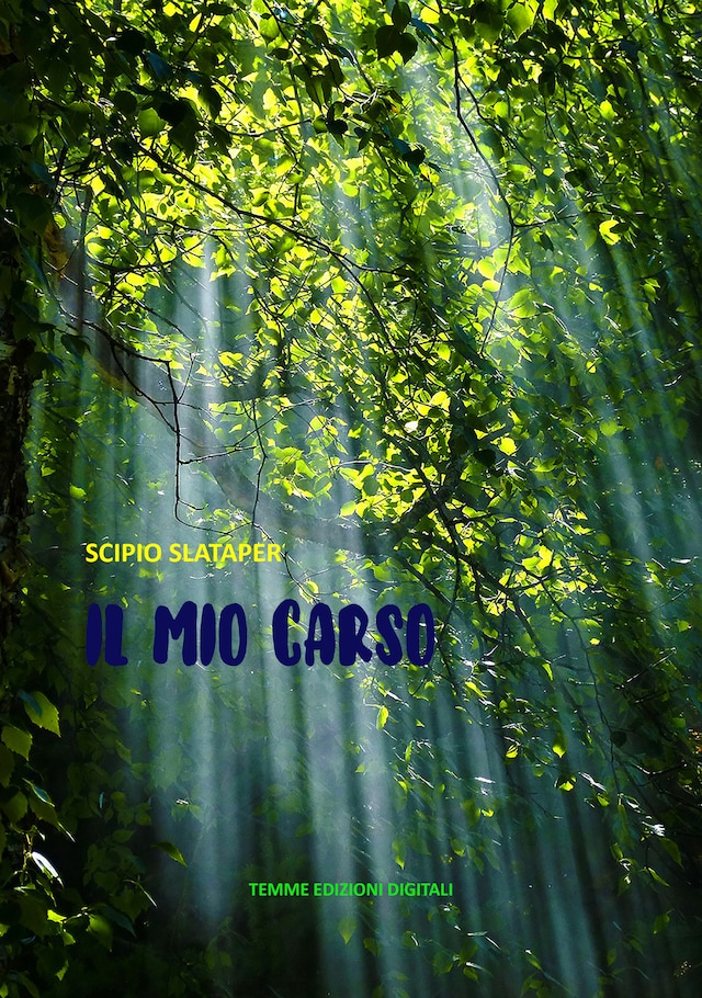 Book cover for Il mio Carso