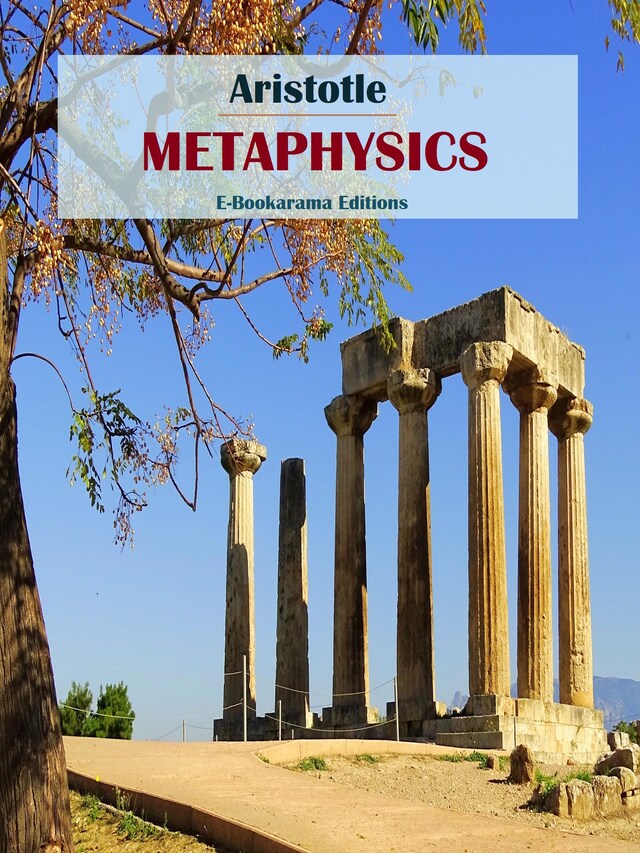 Book cover for Metaphysics