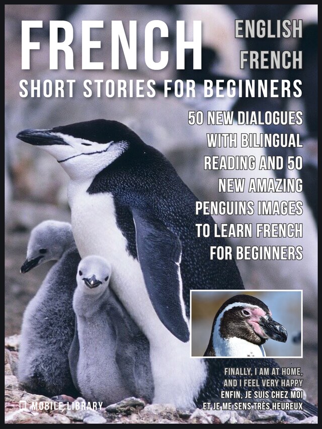 Boekomslag van French Short Stories for Beginners - English French