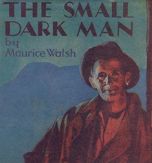 Couverture de livre pour The Small Dark Man