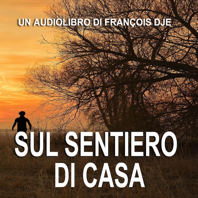 Okładka książki dla Sul sentiero di casa