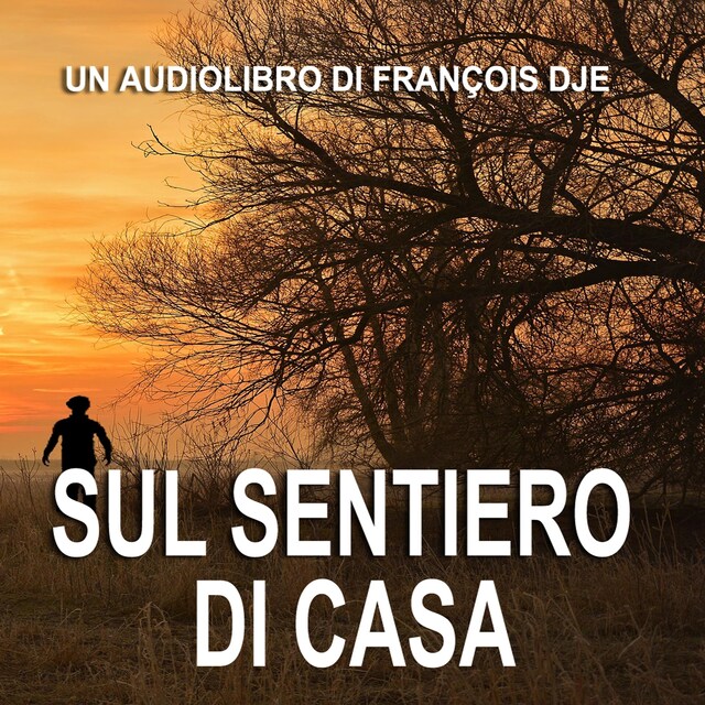 Buchcover für Sul sentiero di casa