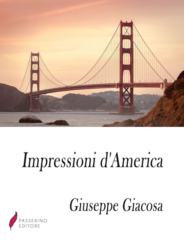Book cover for Impressioni d'America