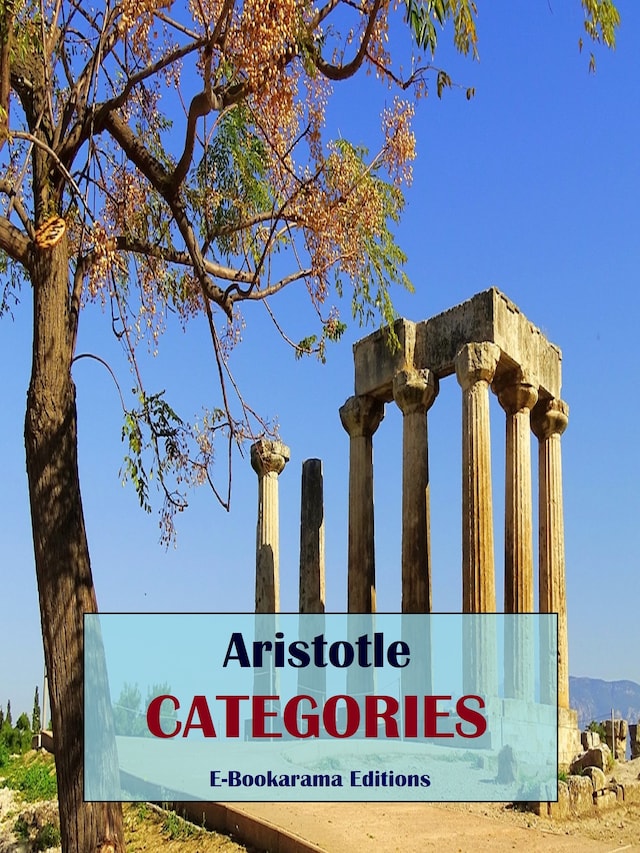 Book cover for Categories