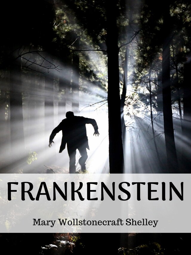 Book cover for Frankenstein