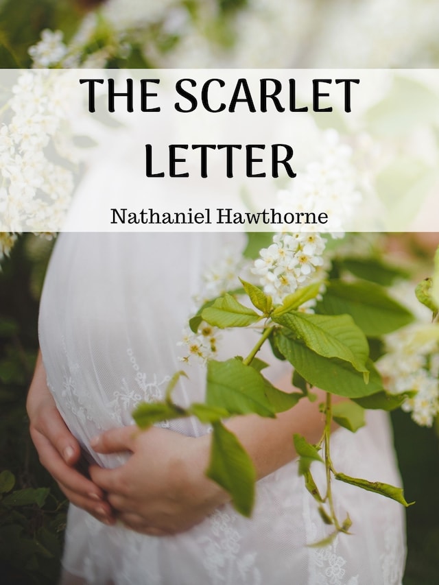 Book cover for The Scarlet Letter
