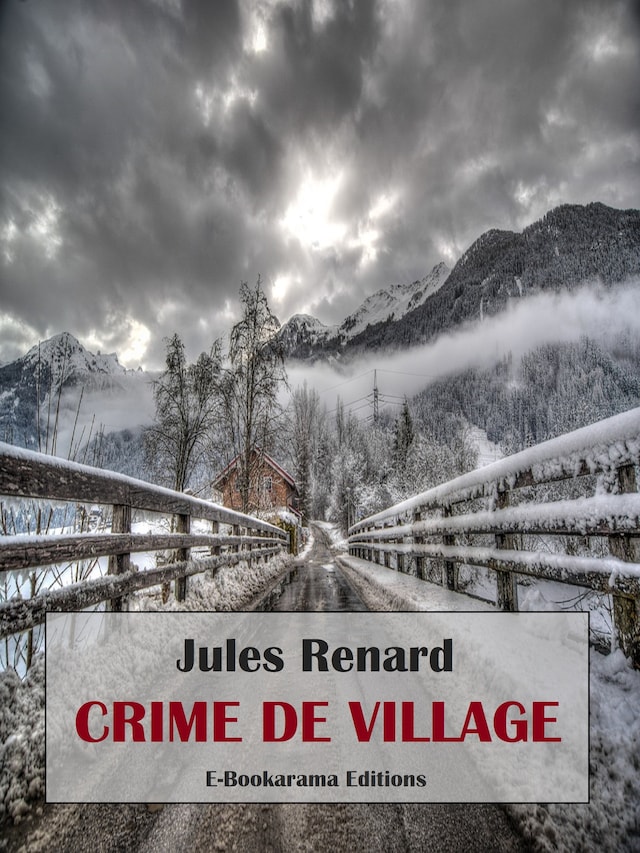 Book cover for Crime de village