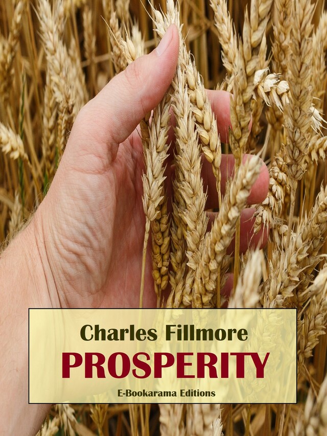 Buchcover für Prosperity
