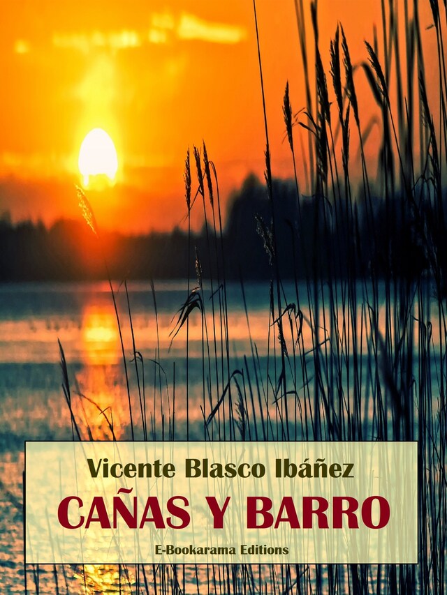 Copertina del libro per Cañas y barro