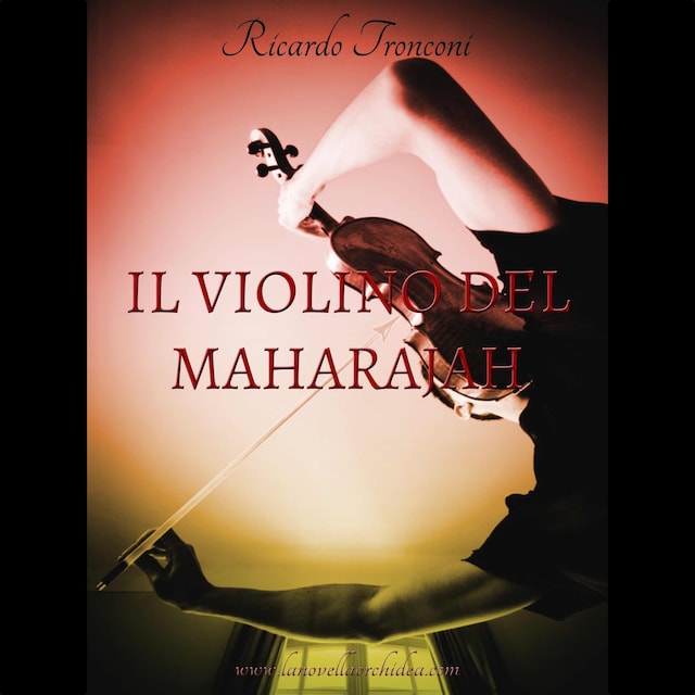 Boekomslag van Il violino del Maharajah