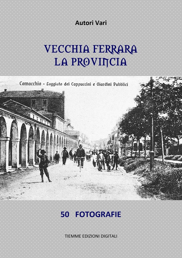 Book cover for Vecchia Ferrara. La provincia