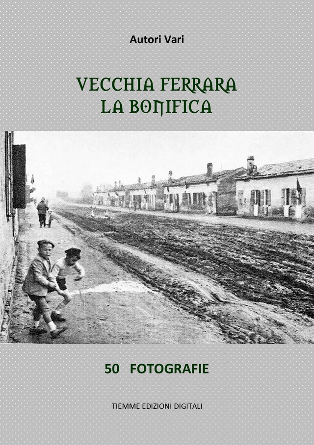 Book cover for Vecchia Ferrara. La bonifica