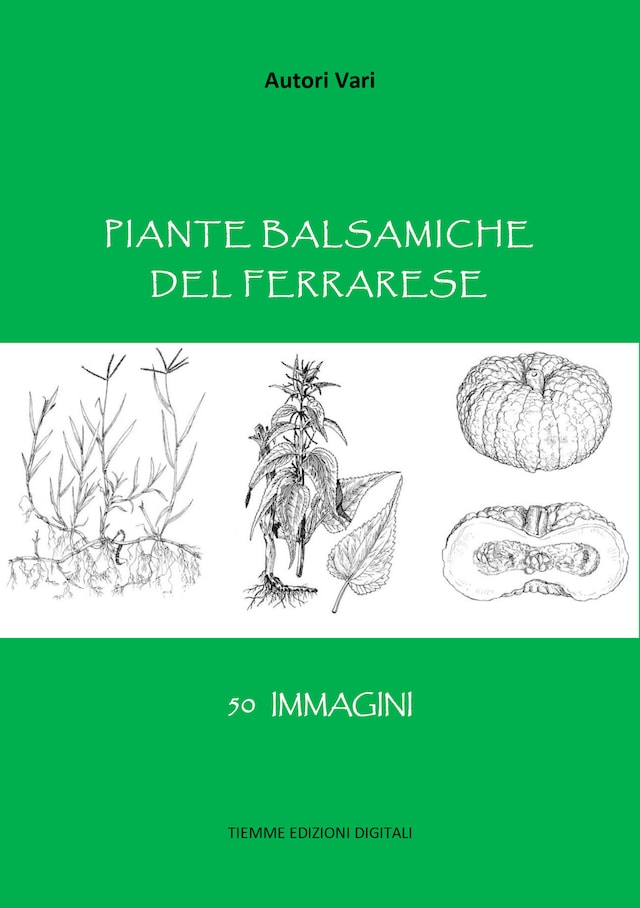 Book cover for Piante balsamiche del Ferrarese