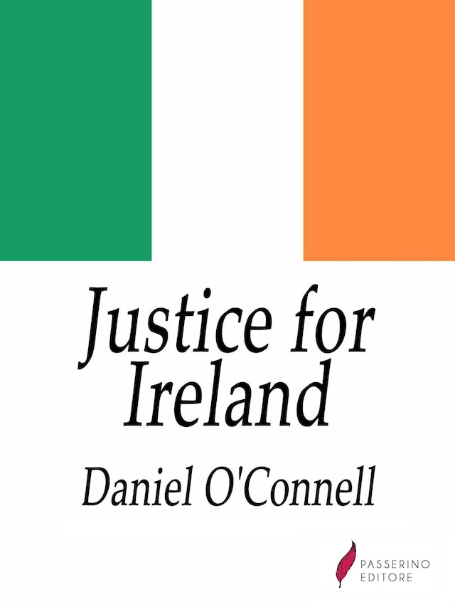 Bokomslag for Justice for Ireland