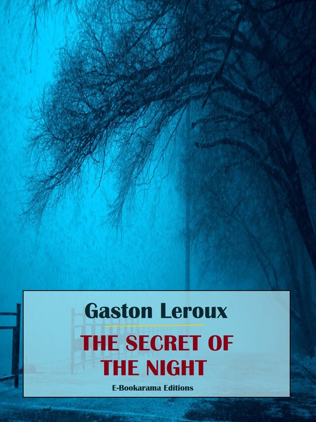 Book cover for The Secret of the Night