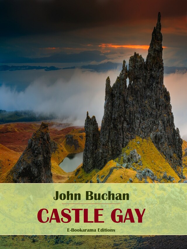 Book cover for Castle Gay