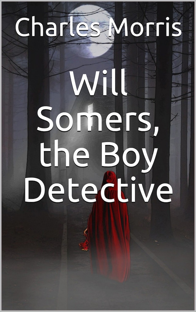 Book cover for Will Somers, the Boy Detective