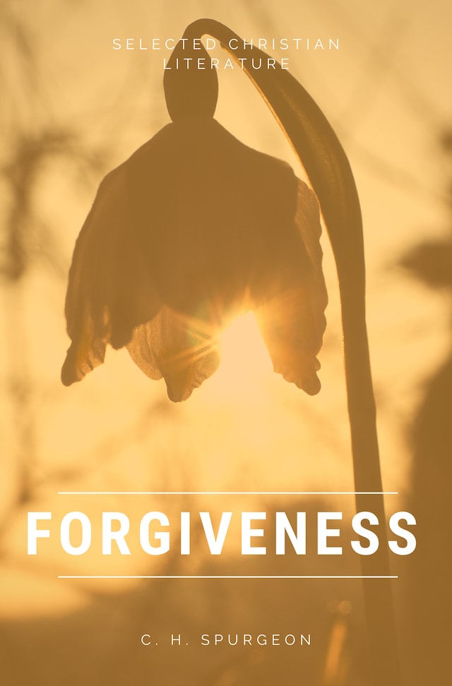 Book cover for Forgiveness