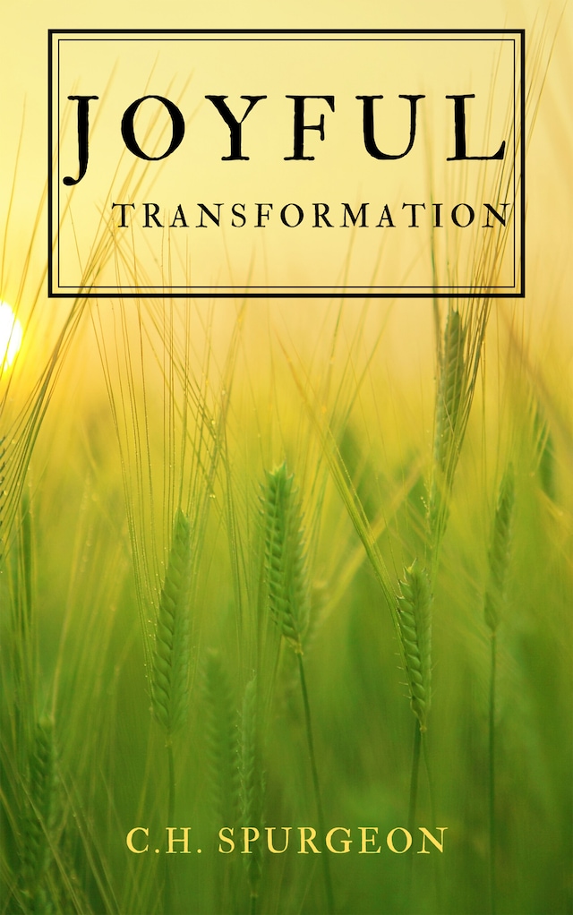 Book cover for Joyful Transformation