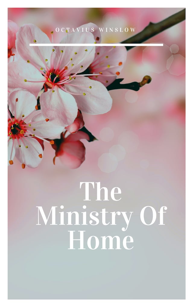 Book cover for The Ministry Of Home