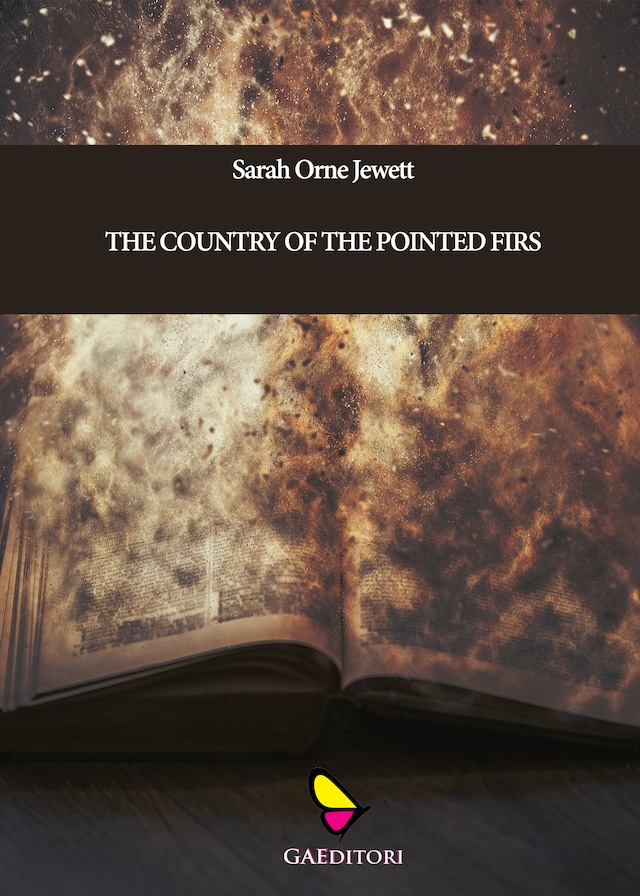 Book cover for The country of the pointed firs