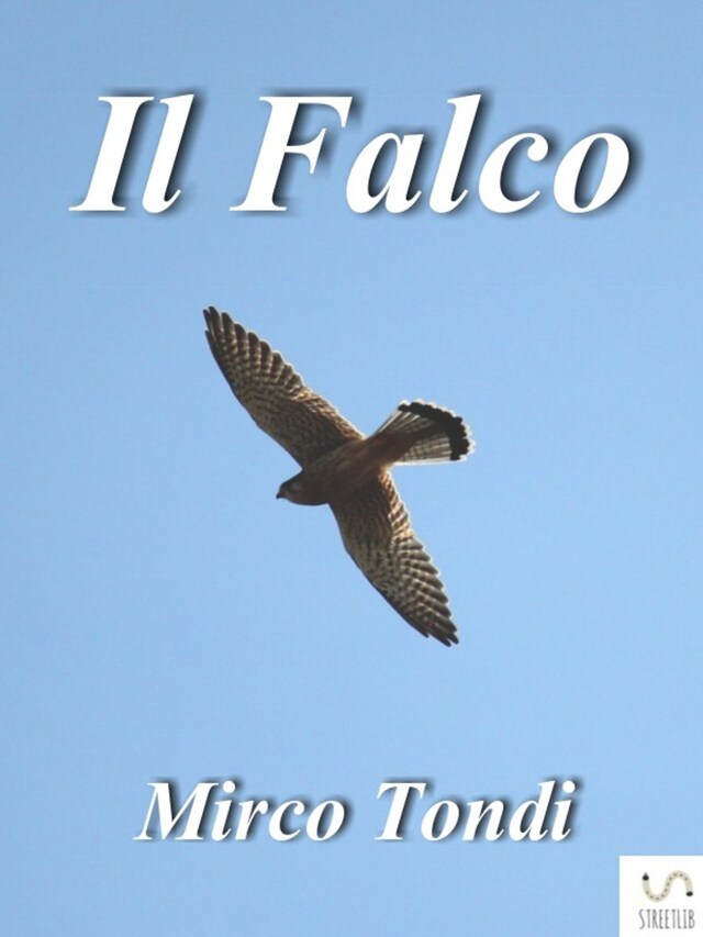 Il Falco
