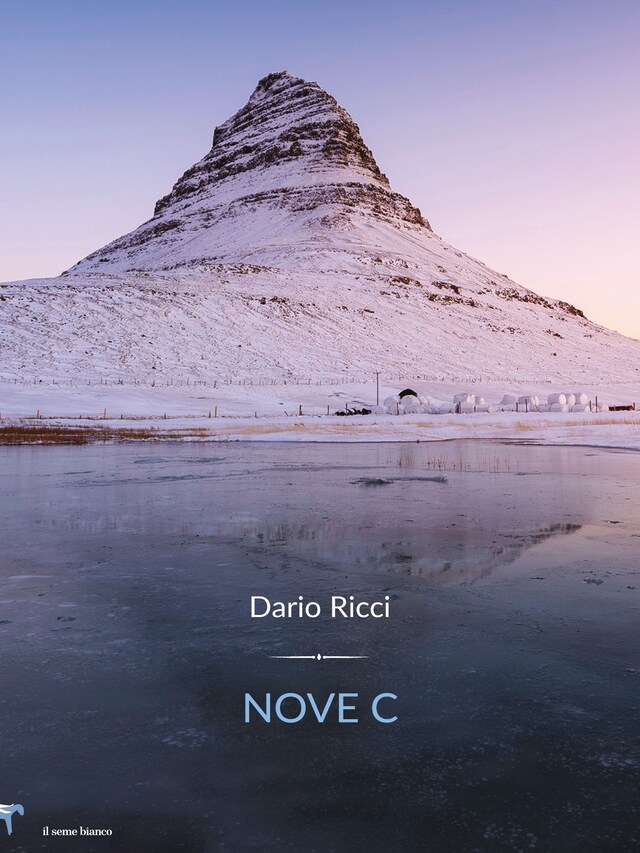 Copertina del libro per Nove C.