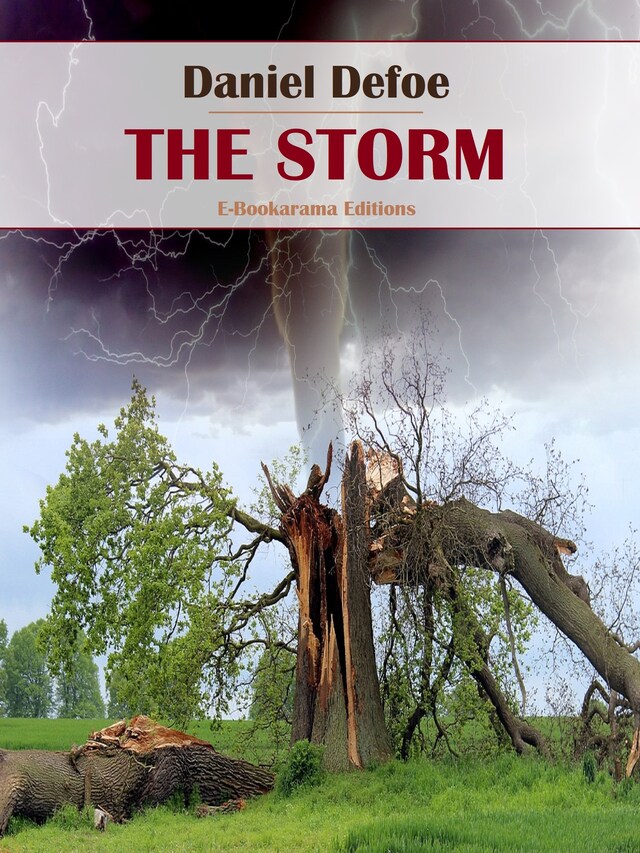 Buchcover für The Storm