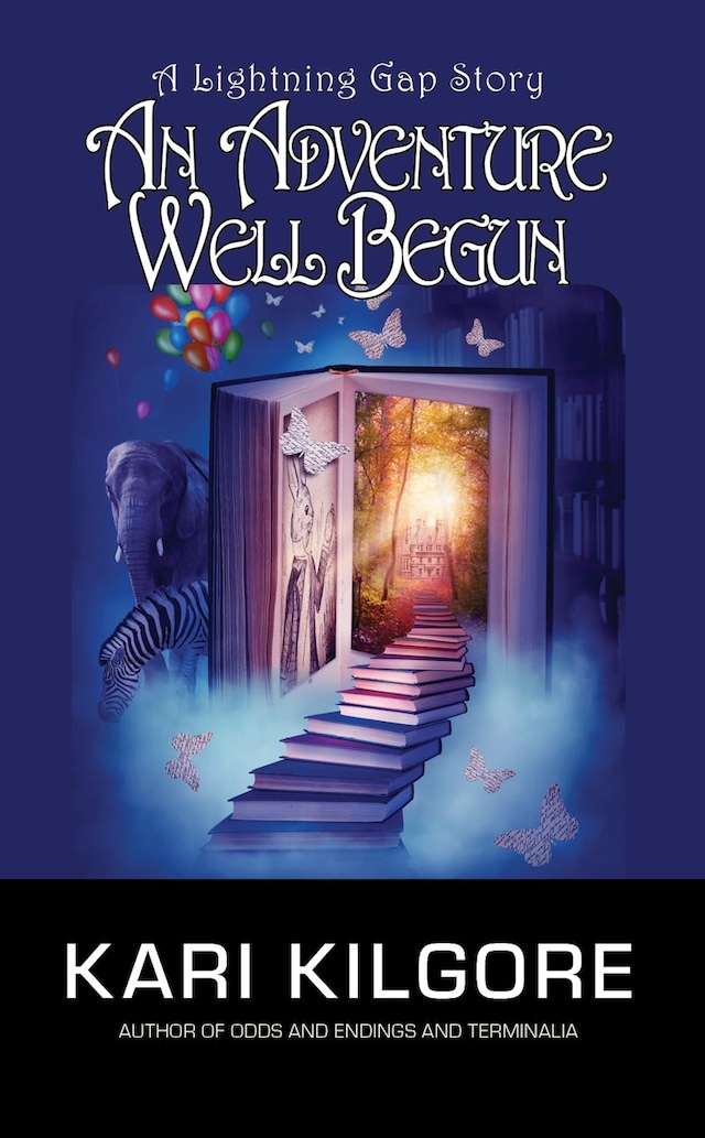 Buchcover für An Adventure Well Begun