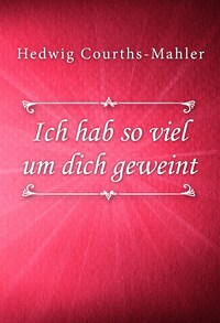 Ich hab so viel um dich geweint