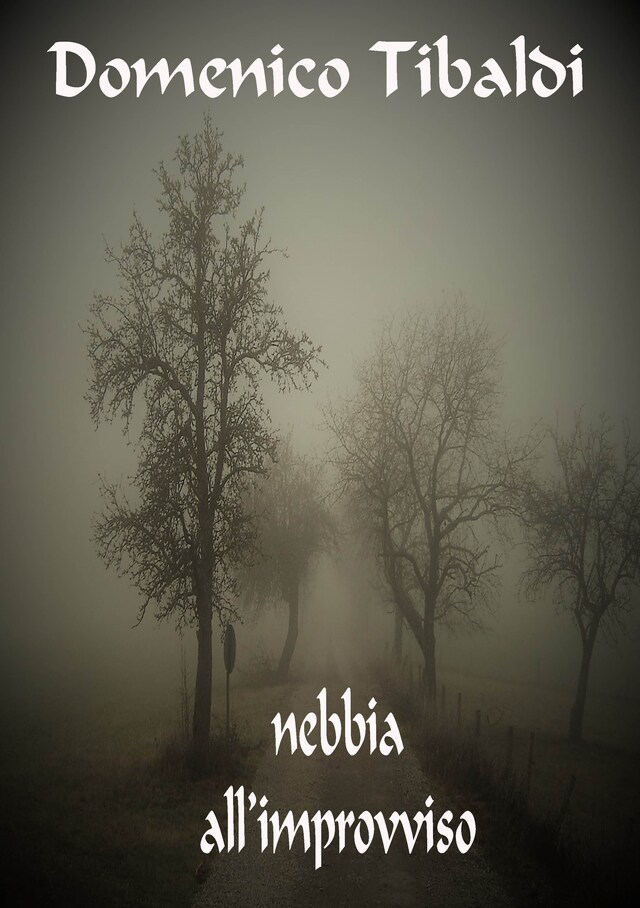 Copertina del libro per Nebbia all'improvviso