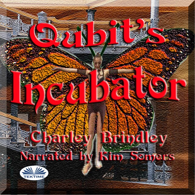 Book cover for Qubit's Incubator