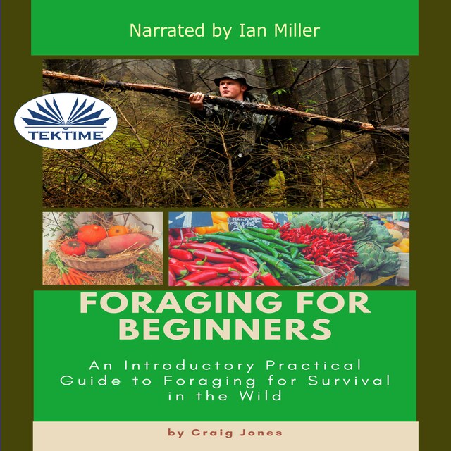 Book cover for Foraging For Beginners