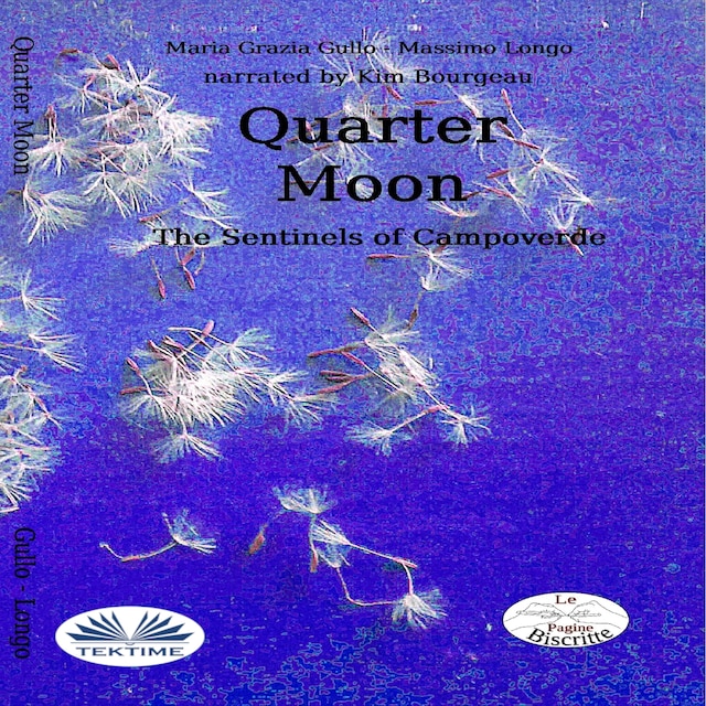 Copertina del libro per Quarter Moon