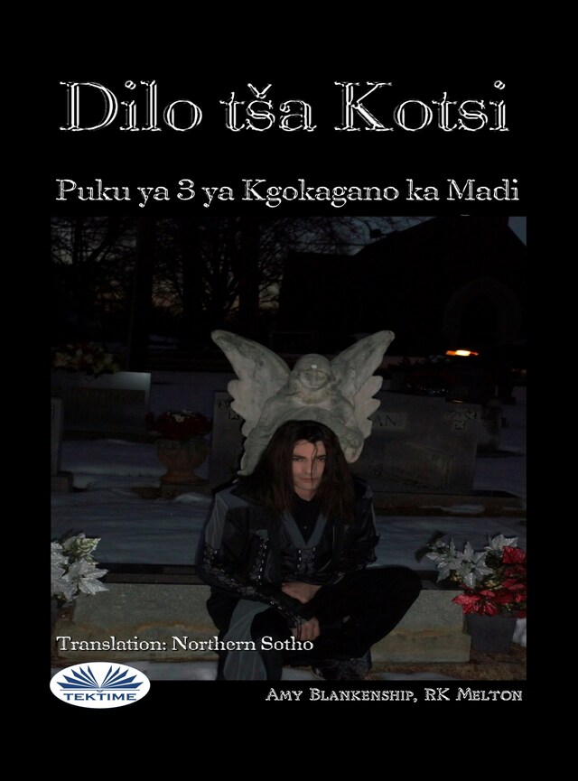 Book cover for Dilo Tša Kotsi