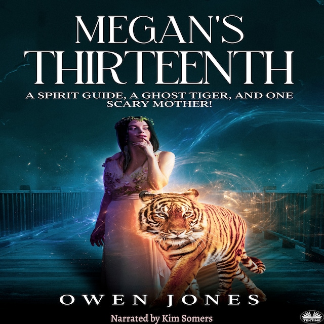 Book cover for Megan's Thirteenth