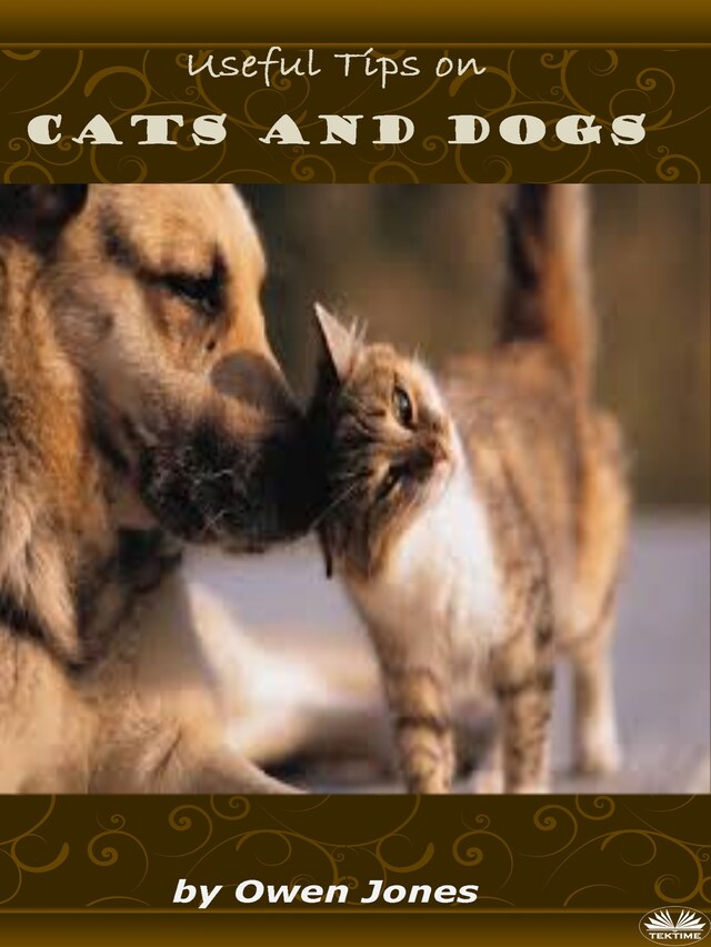 Cats And Dogs